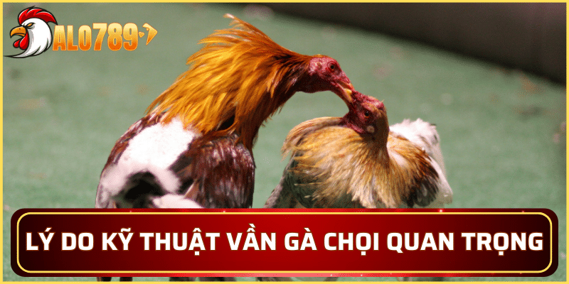 Một số lý do kỹ thuật vần gà chọi quan trọng