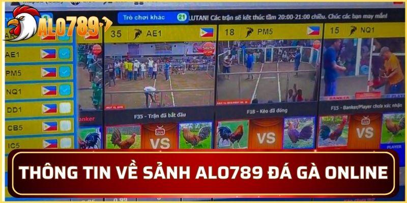 Tìm hiểu thông tin về sảnh Alo789 đá gà online